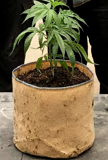 #1 RediRoot Fabric Aeration Bag