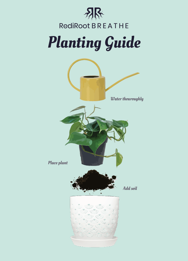 BREATHE Aeration Planter